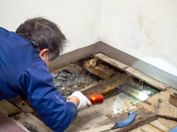 Crawl Space Mold Removal in Mount Union, PA