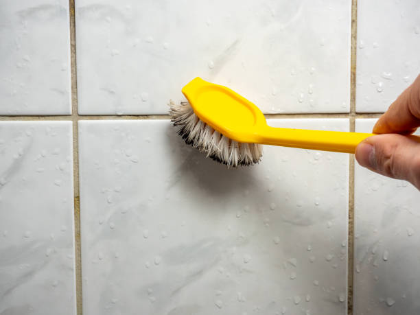 Best Toxic Mold Removal  in Mount Union, PA