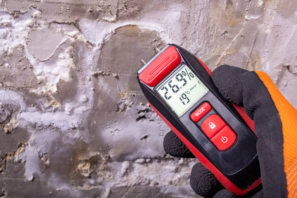 Best Mold Testing  in Mount Union, PA