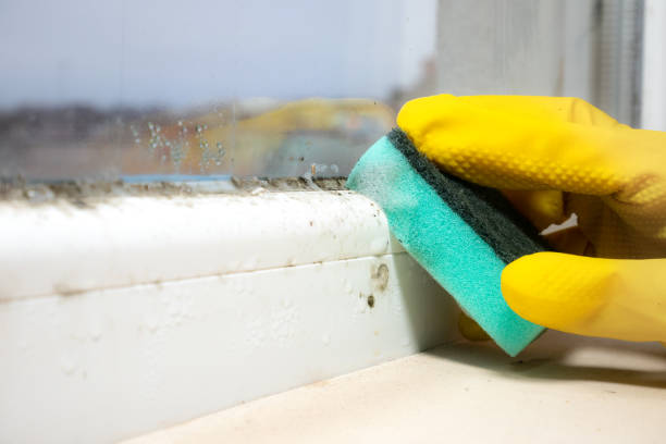 Best Mold Testing  in Mount Union, PA