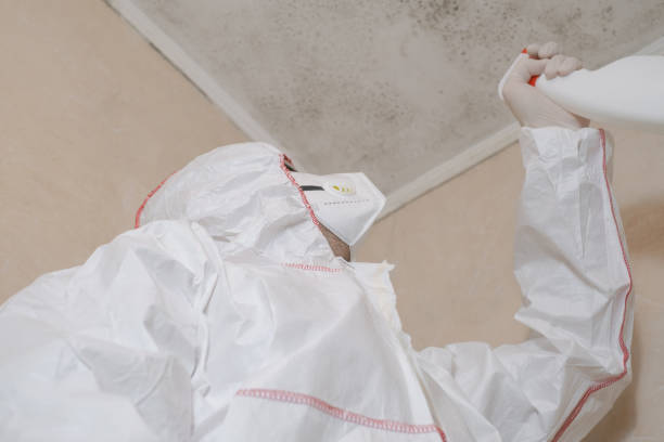 Best Toxic Mold Removal  in Mount Union, PA