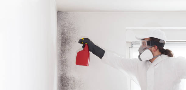 Best Emergency Mold Removal  in Mount Union, PA